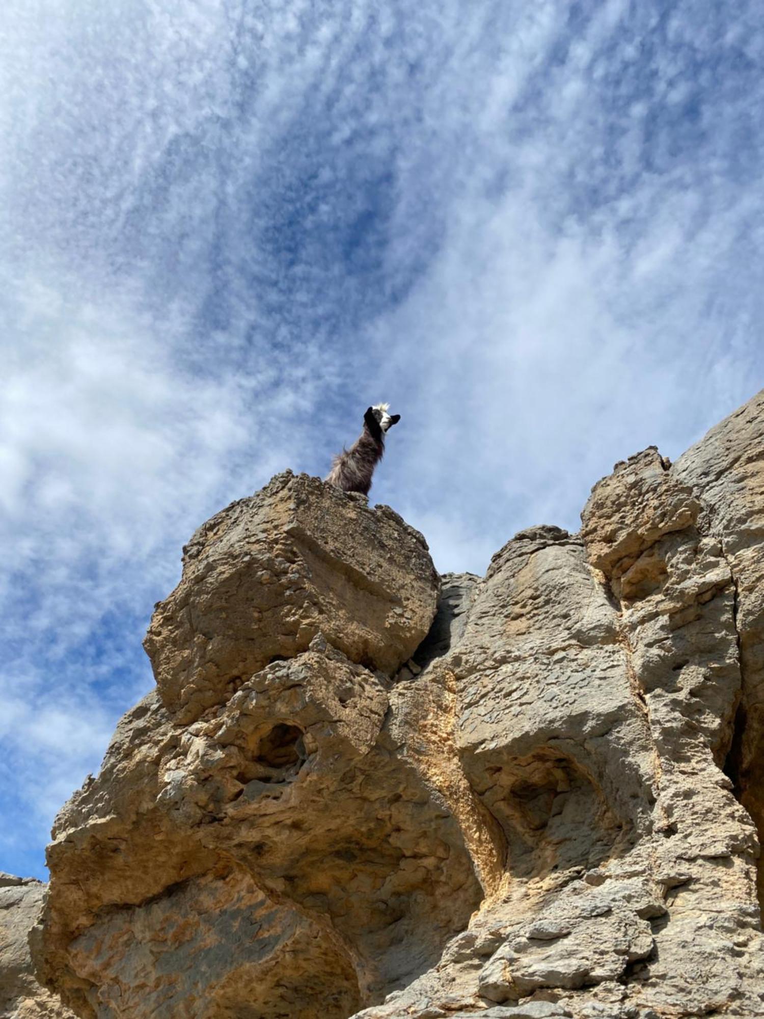Panorama Guest House Jabal Shams Saab Bani Khamis Dış mekan fotoğraf